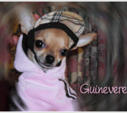 guinevere animatie